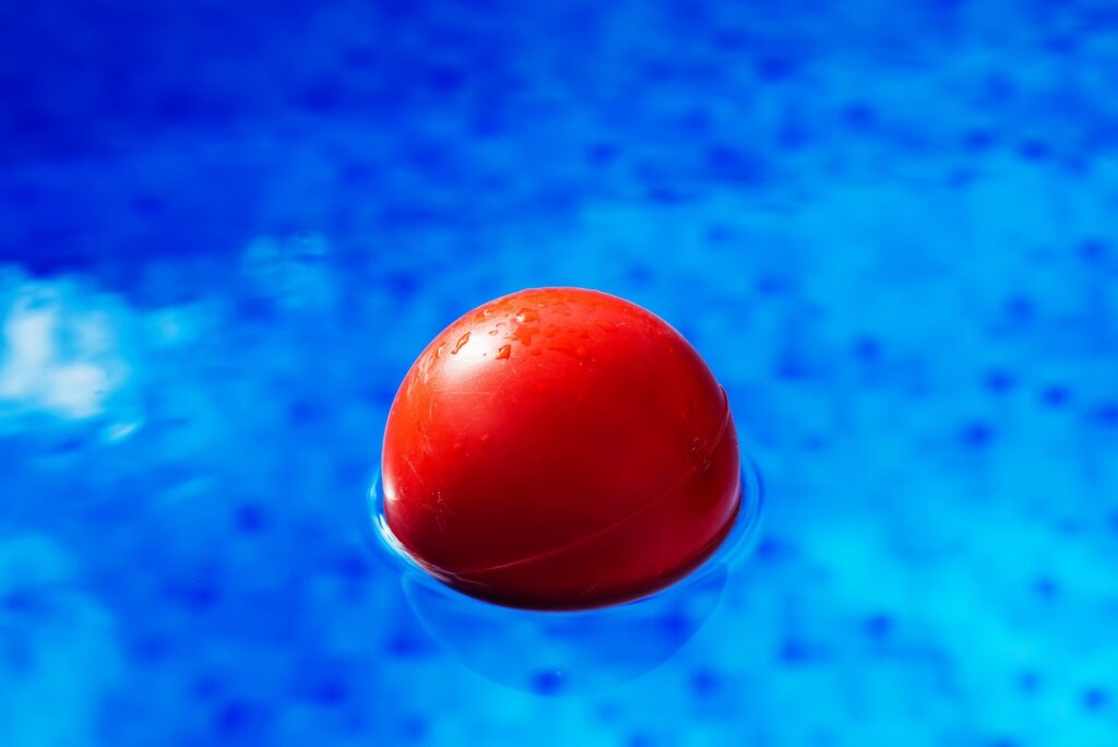 Buddhism & Quantum Physics